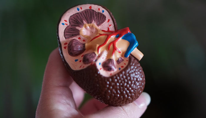 Alternative Medicine for Kidney Stones